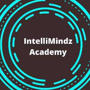 IntelliMindz IntelliMindz Training Institute